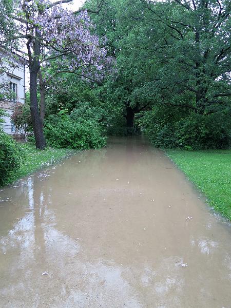 Hochwasser (60).JPG
